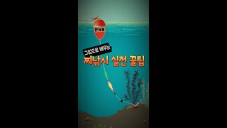 그래픽으로 배우는 찌낚시 꿀팁 #shorts