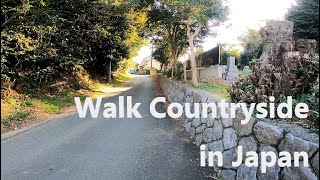 [4K][town] Walk in a common country town, 静岡散歩 - 2020 (Shizuoka, Japan)