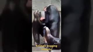 Animals hugging humans|Stress reliever
