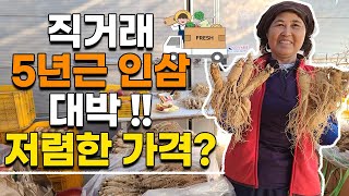 대박 좋은 5년근 인삼 저렴하게 판매 합니다. 산지직송 햇인삼 햇수삼 5년근 6년근 인삼 금산인삼 풍기인삼 강화인삼