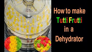 Quick \u0026 Easy Way To Make Tutti Frutti in A Dehydrator - Candied Fruit Recipe