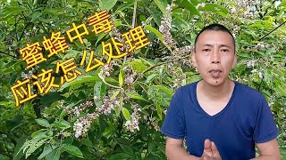 蜜蜂出现中毒怎么办？应该如何正确处理？用这个方法就对了