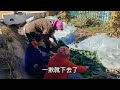 东北气温骤降零下几度，老妈请客吃羊肉？想吃油菜生菜你就来