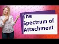 What Can We Learn from Ed Tronick's New Perspectives on Attachment?