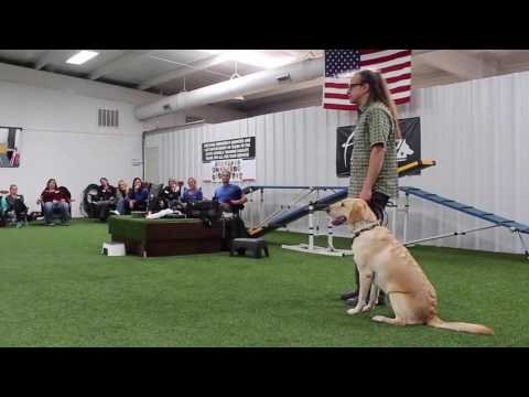 how to stop dog barking when left alone outside how to stop dog barking when left alone outside