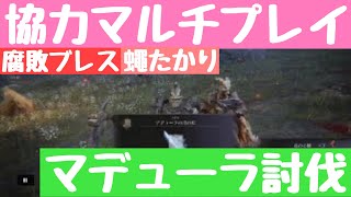 [エルデンリング ELDEN RING]#017 輝石竜アデューラ 簡単討伐 腐敗ブレス 蠅たかり マルチプレイ 2022年4月3日