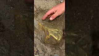 Jackpot! Huge Gold Nugget