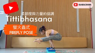 如何做Tittibhasana螢火蟲式  強化核心肌群  柔韌度與力量的協調 Yoga with Olmen