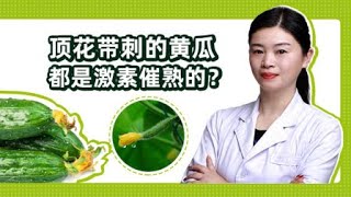 辟谣丨“顶花带刺”的黄瓜都是打了激素的，不能吃？真相是