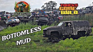 TRUCKS GONE WILD - MUDDY VALENTINE - PLANT BAMBOO