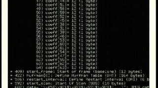 Console Applications with Urwid