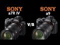 Sony a7R IV vs Sony a9 | Quick Camera comparison