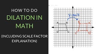 How to Dilate in Math | Mathcation