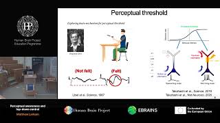 Matthew Larkum - Perceptual awareness and top-down control