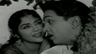 Zamindar Movie Songs | Palakarinchitene | ANR | Krishna Kumari