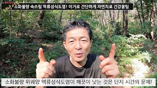 이 독이 되는 식습관만 바꿔도, 소화불량  속쓰림 위궤양 역류성식도염은 자연치료된다!