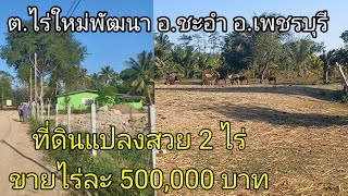 ขายด่วนที่ดิน 2 ไร่ ขายยกแปลงไร่ละ 500,000บาท ที่ดินในตำบลไร่ใหม่พัฒนาอำเภอชะอำจังหวัดเพชรบุรี