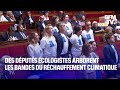 Des députés écologistes arborent les bandes du réchauffement climatique