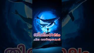 നീല തിമിംഗലത്തിന്റെ ചില സവിശേഷതകൾ #whale #facts