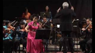 Tan Dun Crouching Tiger Concerto (5) - Hsin Hsiao-hung (erhu) \u0026 City Chamber Orchestra of Hong Kong