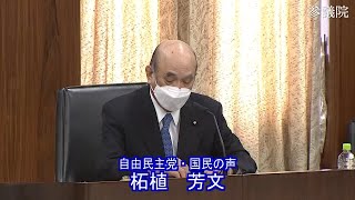 参議院 2022年01月17日 政治倫理の確立及び選挙制度に関する特別委員会 #01 柘植芳文（自由民主党・国民の声）