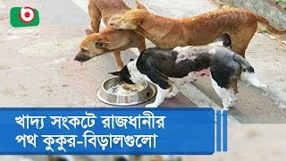 খাদ্য সংকটে রাজধানীর পথ কুকুর-বিড়ালগুলো