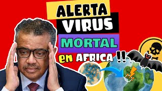 ALERTA  ⚠️ AFRICA REPORTA BROTE DE VIRUS MORTAL 😱😱😱 GHANA REVELA 2 FALLECIDOS POR VIRUS DE MARBURGO
