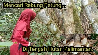 Berburu Rebung Petung Di Tengah Hutan