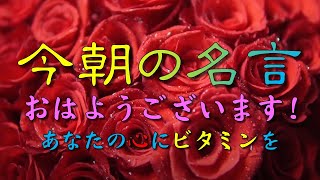 【今朝の名言：毎朝７時発信中】おはようございます！今朝の名言です！あなたの心に名言のビタミンを🍀🌸🌿🪴⭐️#人生訓#名言#格言#心#生き方#幸福#感動#魂