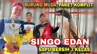 Burung Muda Main Agresif ‼️ Cendet Singo Edan Hattrik ‼️ Piala Reog Ponorogo