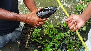 Best Fish Hunting Video || Village Boy Fishing Trap With Hook || Big Shol Fish Catching by Hook