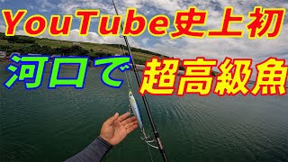 YouTube初⁉️河口で超高級魚が釣れた日