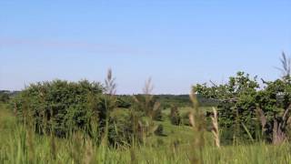 42 Acres in Mono | Dufferin County | David Visentin