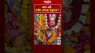 ଗଦା ଧରି ଦର୍ଶନ ଦେଲେ ହନୁମାନ ! | #SarkarNews #Sarkar #Hanuman #Monkey #Devotees  || Sarkar News