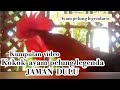 KUMPULAN VIDEO KOKOK AYAM LEGENDA JAMAN DULU | AYAM PELUNG LEGENDARIS PART 2