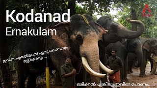 കോടനാട് കപ്രികാട് അഭയാരണ്യം പാർക് #abrahamgponnal #agpzworld #kodanad #kaprikad #park #malayatoor