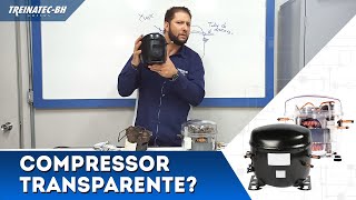 Como é o funcionamento interno do compressor de geladeira? | (Compressor Hermético)