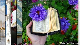 Al Haseeb Quran Academy_Nazra with Tajweed and Basic Islamic Teachings  Online in Urdu