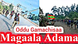 OMN:ODDU AMME - WBOn Magaala Adama Fi Maqii'tii Guyya Haraa Daandi cufun Lola Gagesara ||Moha Oromo