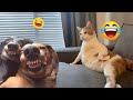 The Most Dramatic Dogs and cats are Waiting for You here!😽🐶FUNNIEST Animal Videos 2024🥰Part 14
