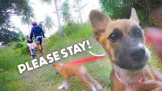 PUPPY Saying BYE To KID SISTER Is MOST ADORABLE THING EVER