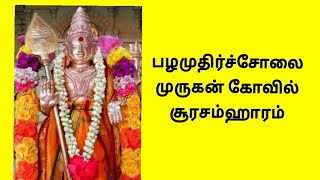 சூரசம்ஹாரம் பழமுதிர்ச்சோலை முருகன் கோவில் @DolyDevotional