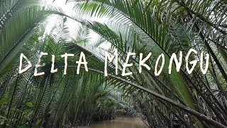 Delta Mekongu - Wietnam