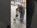 the old man reunites with his lost puppy after 3 years shorts dog heartwarming