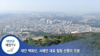 태안TV - 태안 백화산, 서해안 대표 힐링 산행지 각광