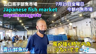 【時化】【Fish market this morning】今朝の魚市場7月29日金曜日の水揚げ状況！