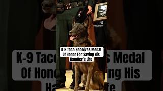 When your best friend receives a well-deserved award. #k9 #k9unit #belgianmalinois