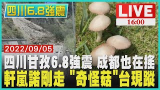 【四川6.8強震】四川甘孜6.8強震 成都也在搖  軒嵐諾剛走 \