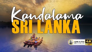 Kandalama Lake Sri Lanka [කණ්ඩලමේ වැව] | Sri Lanka @samvlogs_uae #trending #kandalama