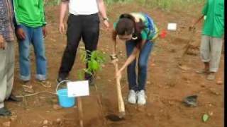 Miss Japan Saving The Earth